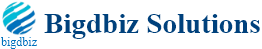 Bigdbiz Solutions